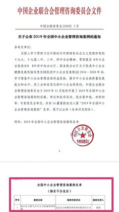 全國中小企業(yè)管理咨詢案例第一名解析 卓越管理與創(chuàng)新實(shí)踐
