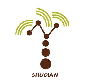 山東樹(shù)點(diǎn)網(wǎng)絡(luò)科技 點(diǎn)亮數(shù)字未來(lái)的科技新星